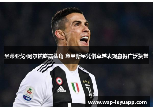圣蒂亚戈·阿尔诺崭露头角 意甲新星凭借卓越表现赢得广泛赞誉 圣蒂亚戈·阿尔诺崭露头角 意甲新星凭借卓越表现赢得广泛赞誉