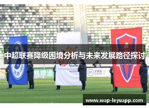 中超联赛降级困境分析与未来发展路径探讨