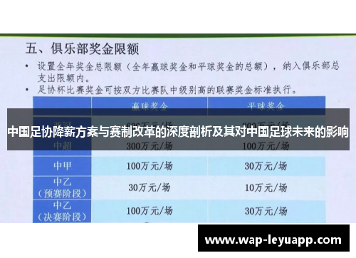 中国足协降薪方案与赛制改革的深度剖析及其对中国足球未来的影响