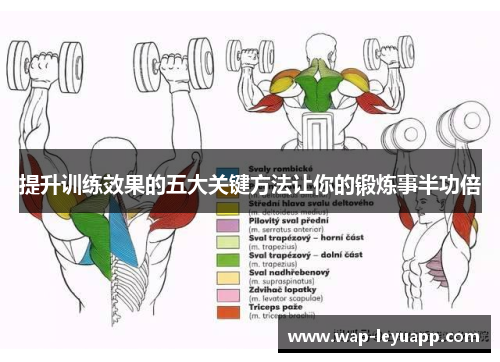 提升训练效果的五大关键方法让你的锻炼事半功倍