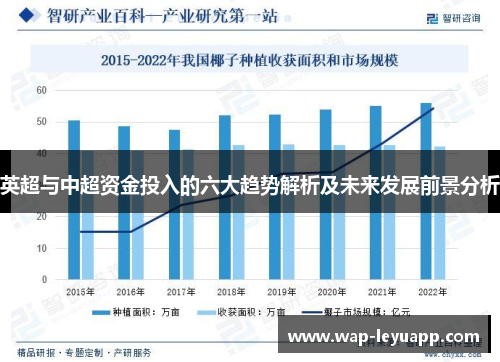 英超与中超资金投入的六大趋势解析及未来发展前景分析