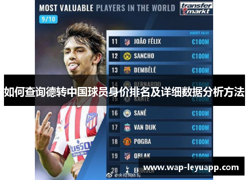 如何查询德转中国球员身价排名及详细数据分析方法 如何查询德转中国球员身价排名及详细数据分析方法