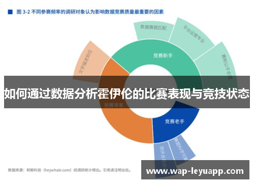 如何通过数据分析霍伊伦的比赛表现与竞技状态