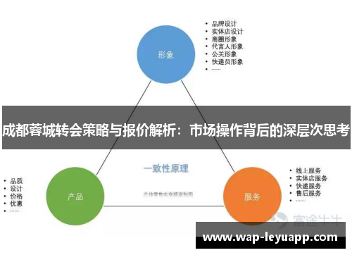 成都蓉城转会策略与报价解析：市场操作背后的深层次思考