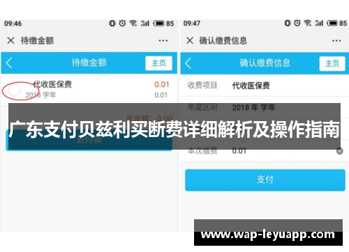 广东支付贝兹利买断费详细解析及操作指南 广东支付贝兹利买断费详细解析及操作指南