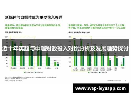 近十年英超与中超财政投入对比分析及发展趋势探讨