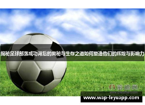 揭秘足球部落成功背后的奥秘与生存之道如何塑造他们的辉煌与影响力