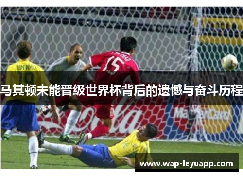 马其顿未能晋级世界杯背后的遗憾与奋斗历程