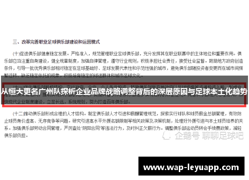 从恒大更名广州队探析企业品牌战略调整背后的深层原因与足球本土化趋势