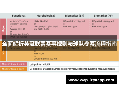 全面解析英冠联赛赛事规则与球队参赛流程指南